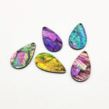 Arrival! Acrylic with Shell Drop Charm 30pcs Earrings DIY Jewelry Parts