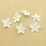 550pcs Clear Leaf Frosted Beads DIY Jewelry Parts