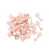 75 pcs Alloy Key Charms Pendant Silver Plated 21*10 mm DIY Crafts