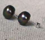 11mm Freshwater Pearl Stud Silver Earrings