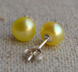 Yellow Freshwater Pearl Silver Stud Earrings