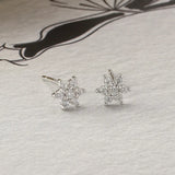 925 Silver Paved Zircon Hexagon Star Stud Earrings