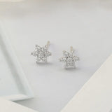 925 Silver Paved Zircon Hexagon Star Stud Earrings