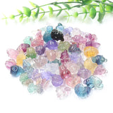 Natural Fluorite Stone Animals Mixed Shape Charms Reiki Crystal