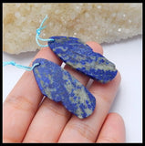 Carved Lapis Lazuli Gemstone Earrings 39x16x5mm