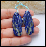 Carved Lapis Lazuli Gemstone Earrings 39x16x5mm