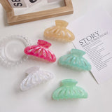 Acetic Acid Jelly Hair Clip Claw Marbling Shark Clip Hair Accessories