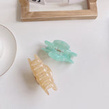 Acetic Acid Jelly Hair Clip Claw Marbling Shark Clip Hair Accessories