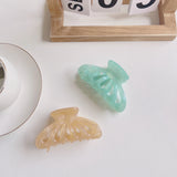 Acetic Acid Jelly Hair Clip Claw Marbling Shark Clip Hair Accessories