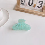 Acetic Acid Jelly Hair Clip Claw Marbling Shark Clip Hair Accessories