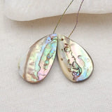 Abalone Shell Earring Bead 23x13x4mm Jewelry Accessories