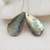 Abalone Shell Earring Bead 23x13x4mm Jewelry Accessories