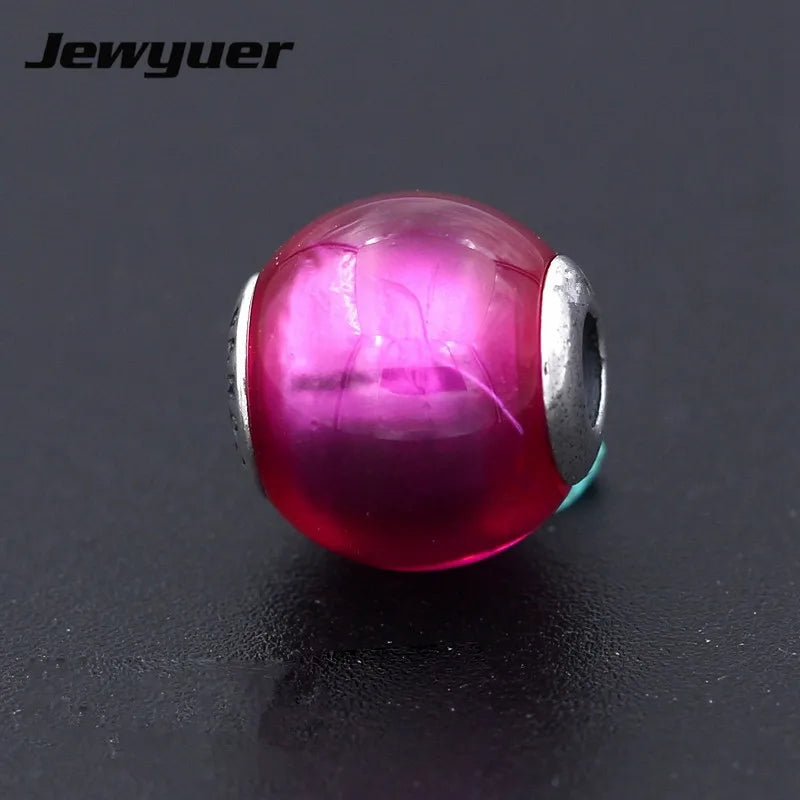 925 Silver Essence Beads PASSION Charms for Bracelet DIY