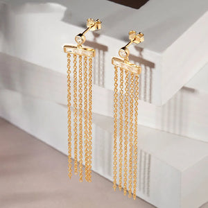 High-End Tassel Earrings, Long and Personality Earrings