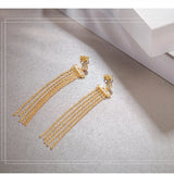 High-End Tassel Earrings, Long and Personality Earrings