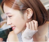 High Zircon 925 Silver Stud Earring for Women Gift Oorbellen