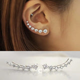 High Zircon 925 Silver Stud Earring for Women Gift Oorbellen