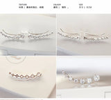 High Zircon 925 Silver Stud Earring for Women Gift Oorbellen