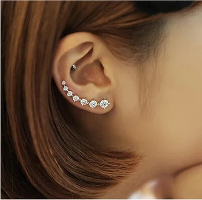 High Zircon 925 Silver Stud Earring for Women Gift Oorbellen