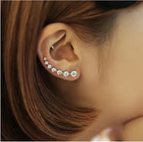 High Zircon 925 Silver Stud Earring for Women Gift Oorbellen