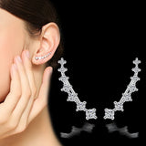 High Zirconia 925 Silver Stud Earring for Women Gift Jewelry
