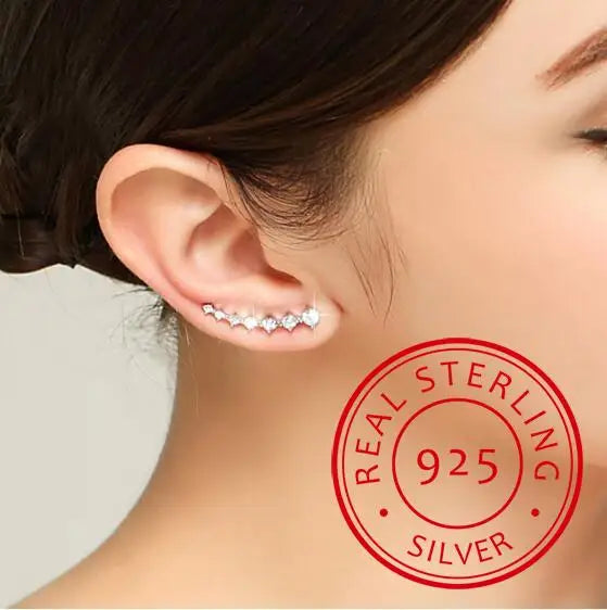 High Zirconia 925 Silver Stud Earring for Women Gift Jewelry