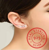 High Zirconia 925 Silver Stud Earring for Women Gift Jewelry
