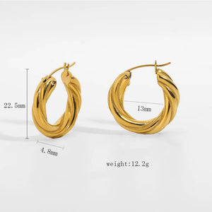 Irregular Geometry Stainless Steel Hoop Earrings For Women