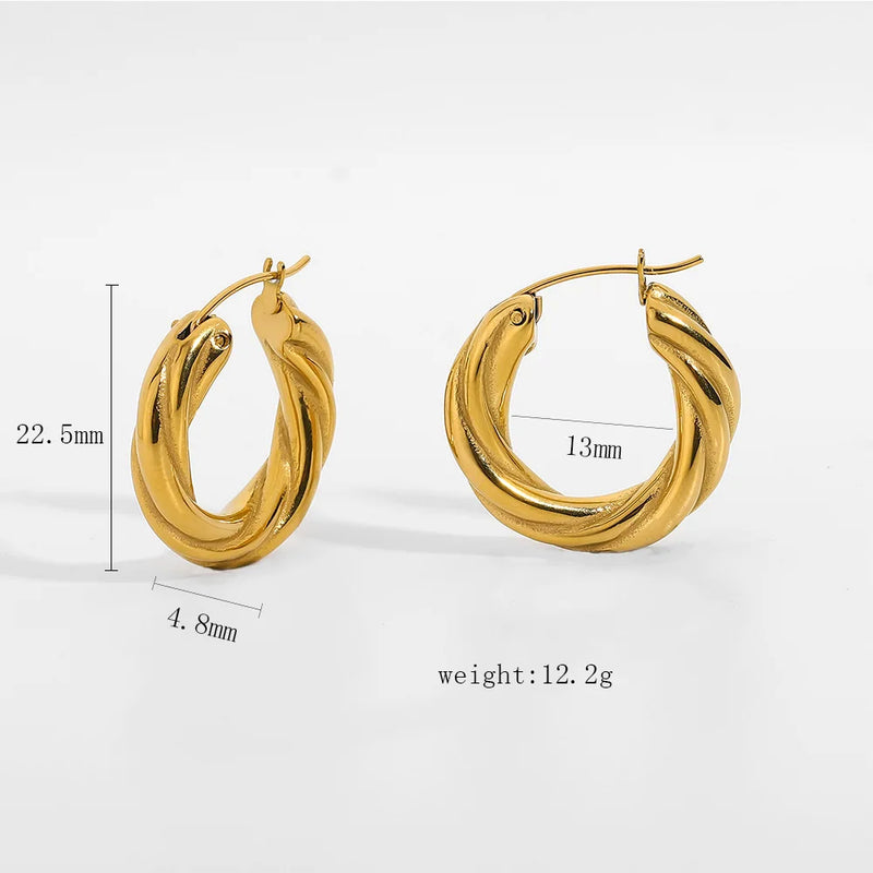 Irregular Geometry Stainless Steel Hoop Earrings For Women