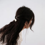 Acetate Hair Clips Twist Hair Pins For Women Girls Gift