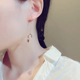 Micro Inlaid Zircon Ear Hook Earrings for Lady