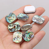 Rectangle Zelanian Abalone Shell Double Hole Beads 10Pcs