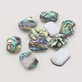 Rectangle Zelanian Abalone Shell Double Hole Beads 10Pcs