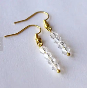Crystal Silver Fish Hook Dangle Earrings Fine Jewelry Women Gift