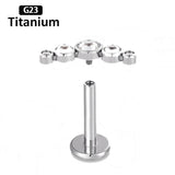 G23 Titanium 16G CZ Inlaid Drilling Ear Nail