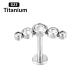 G23 Titanium 16G CZ Inlaid Drilling Ear Nail