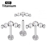G23 Titanium 16G CZ Inlaid Drilling Ear Nail
