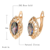 Geometric Rose Hollow Zircon Piercing Earrings Golden Jewelry