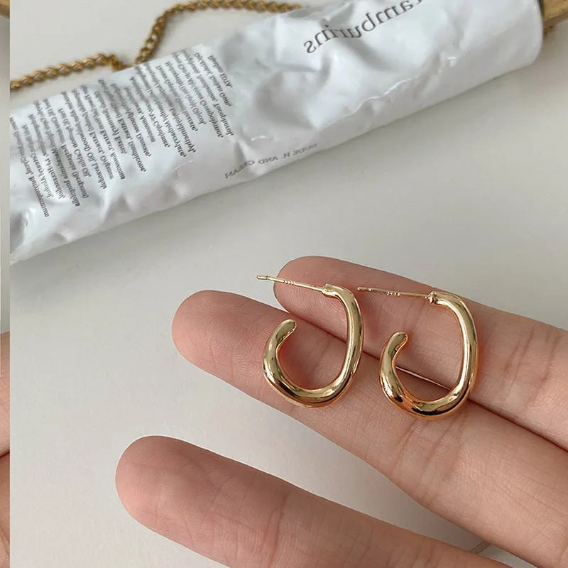 Irregular Geometric Hoop Earrings For Women Girls Jewelry
