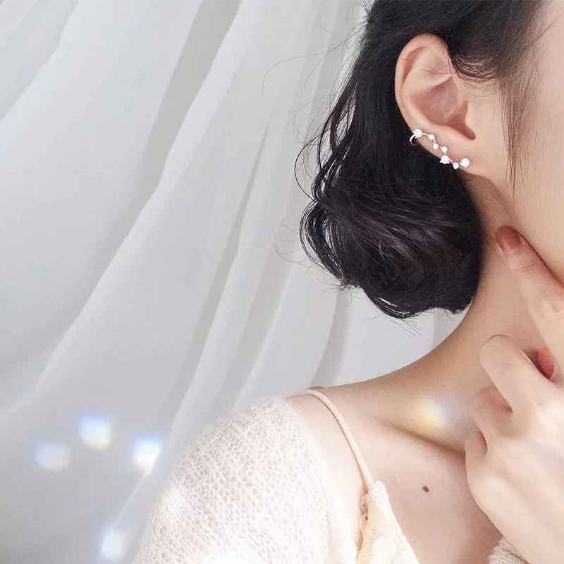 925 Silver Star Zircon Earrings for Women Gift