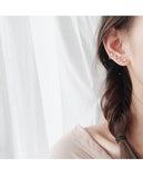 925 Silver Star Zircon Earrings for Women Gift