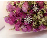 925 Silver Flowers Earrings for Women Girls - Gift Statement Jewelry