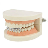 Iced Out Plated Hip Hop Grills Teeth Grillz Water Drip Grillz For Teeth Lower