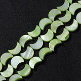 Natural Dyed Shell Beads Moon Shape for DIY Necklace Bracelet