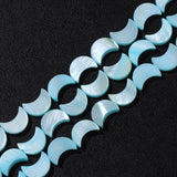 Natural Dyed Shell Beads Moon Shape for DIY Necklace Bracelet
