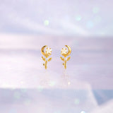Gold-plated Zircon Star Moon Earrings