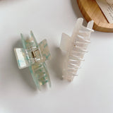Acrylic Shark Clip Hair Accessories Set