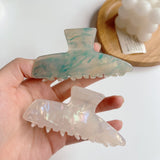Acrylic Shark Clip Hair Accessories Set
