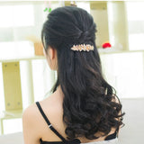 Crystal hair clip Versatile Pan hair clip Women's oil dripping head accessories