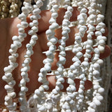Natural Shell Necklace Snail Beads for Jewelry Making 5-6mm